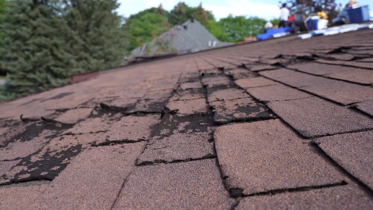 Best Roof Installation  in North Salt Lake, UT